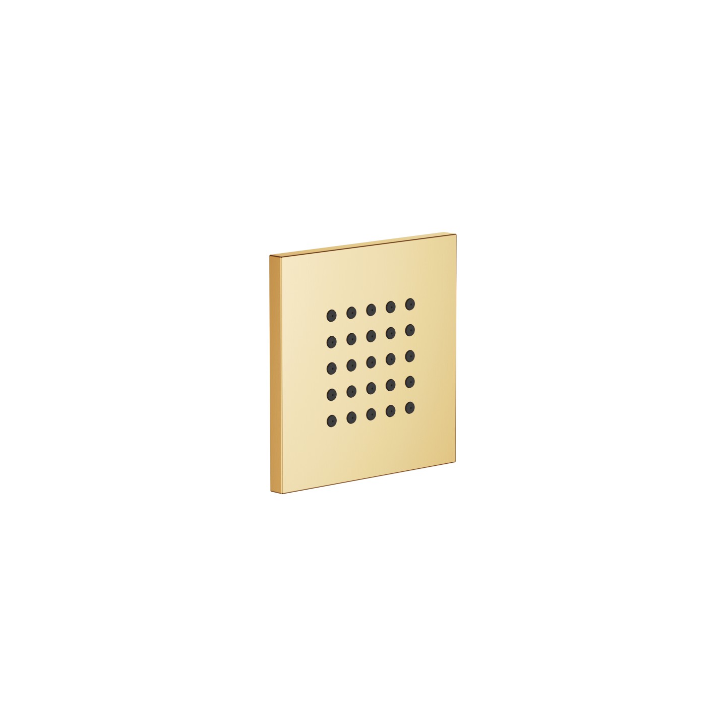Dornbracht CL.1 WATER POINTS Боковой душ для скрытого монтажа 36525979-28 латунь сатинированная